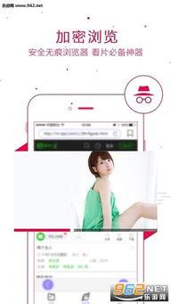 1204基地国产看片你懂的,国产影视盛宴背后的故事